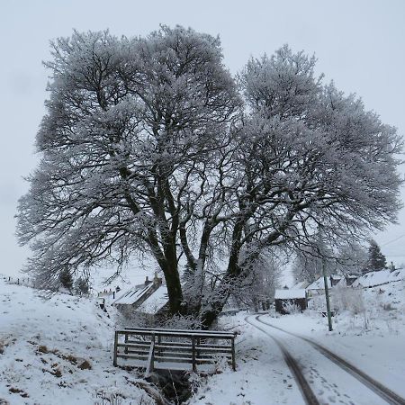 Leadhills Forget Me Not Cottage المظهر الخارجي الصورة