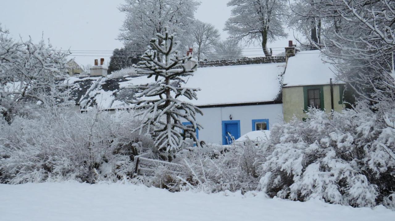 Leadhills Forget Me Not Cottage المظهر الخارجي الصورة