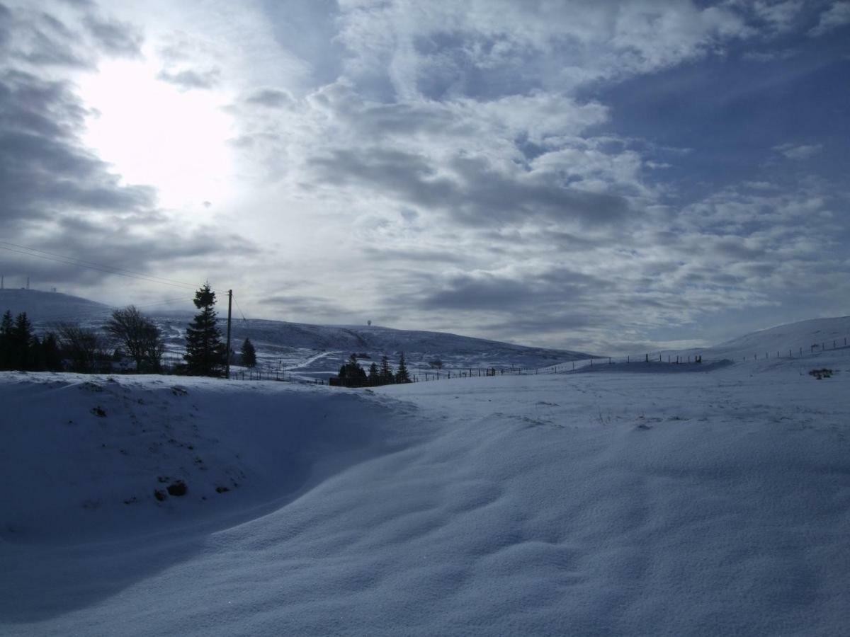 Leadhills Forget Me Not Cottage المظهر الخارجي الصورة
